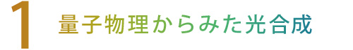 【1】量子物理からみた光合成