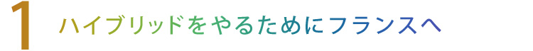 【1】ハイブリッドをやるためにフランスへ