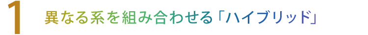 【1】異なる系を組み合わせる「ハイブリッド」