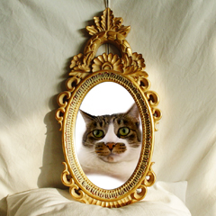 猫の描像ならぬ肖像