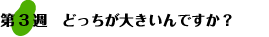 第3週：どっちが大きいんですか？