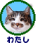 わたし