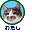 わたし