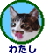 わたし