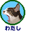 わたし