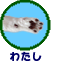 わたし