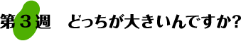 第3週：どっちが大きいんですか？