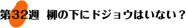 第32週：柳の下にドジョウはいない？