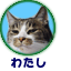 わたし