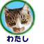 わたし