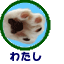 わたし