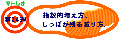 第24週：指数的増え方、しっぽが残る減り方